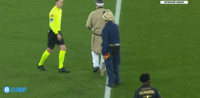 罗纳尔多从 罗纳尔多从